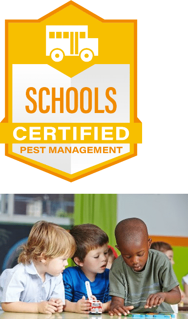 School Certified pest prevention & Extermination in Jacksonville
