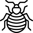 Bed Bug Inspection and Extermination in Jacksonville