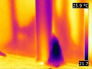 WDO Inspection with Thermal Imaging in Jacksonville