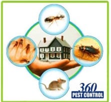 Pest Control Services near Jacksonville, FL with 360PestControl